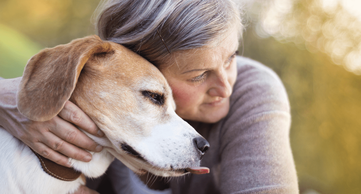 Preparing For The Loss Of A Pet Pet Angel Funerals Blog